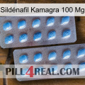 Sildénafil Kamagra 100 Mg viagra4